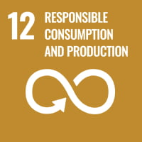 sdgs image 12