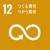 sdgs image 12