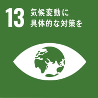 sdgs image 13