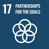 sdgs image 17