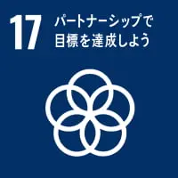 17-logo